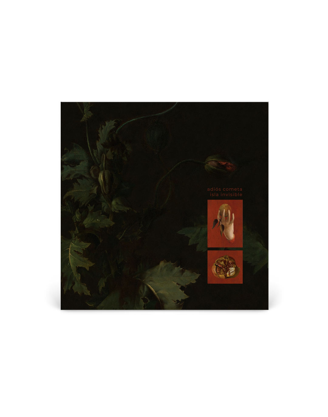 CD - Adiós Cometa / Isla Invisible 'Split EP'