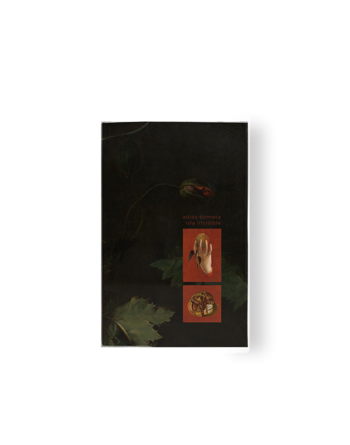 Cassette - Adiós Cometa / Isla Invisible 'Split EP'