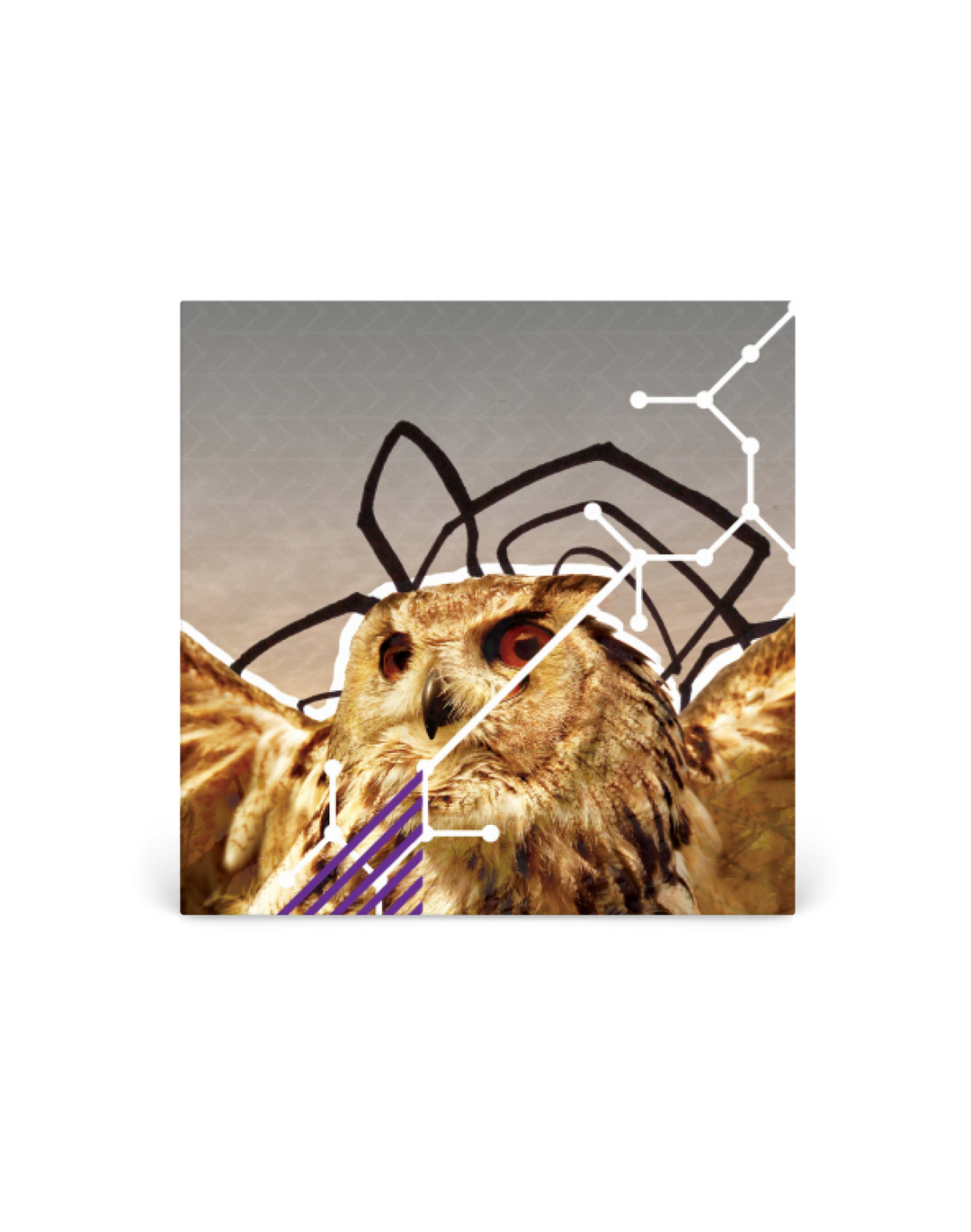 CD - Chikita Violenta Tr3s