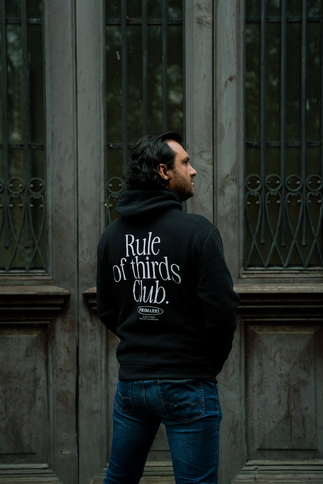 Hoodie Rule of Thirds Negra